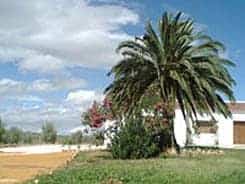 Cortijo Bersocano situado en 14400 en la provincia de 42 plazas 20 desde 15.00€ persona/noche
