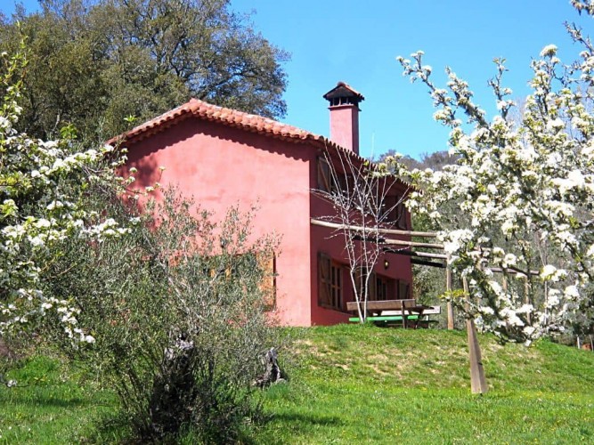 Casa Roja Montemateo situado en 11519 en la provincia de 22 plazas 8 desde 10.62€ persona/noche
